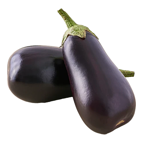 Brinjal - Bottle Shape (बैंगन)