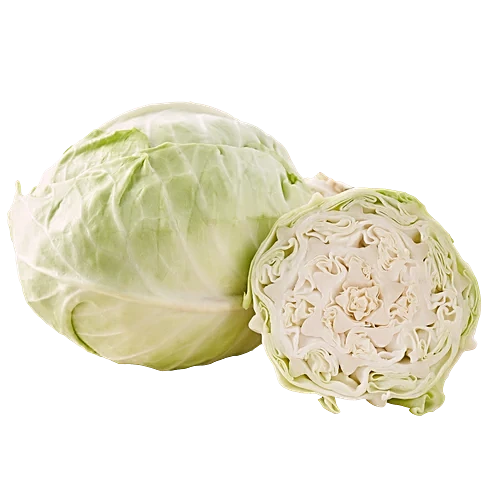 Cabbage (पत्ता गोभी/बंदगोभी)