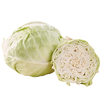 Cabbage (पत्ता गोभी/बंदगोभी)