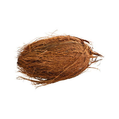 Brown Coconut