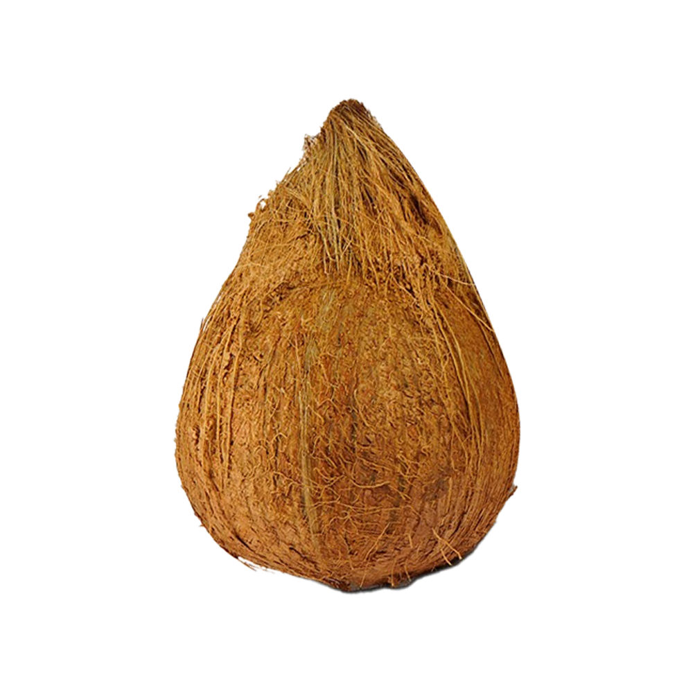 Brown Coconut