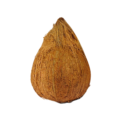 Brown Coconut