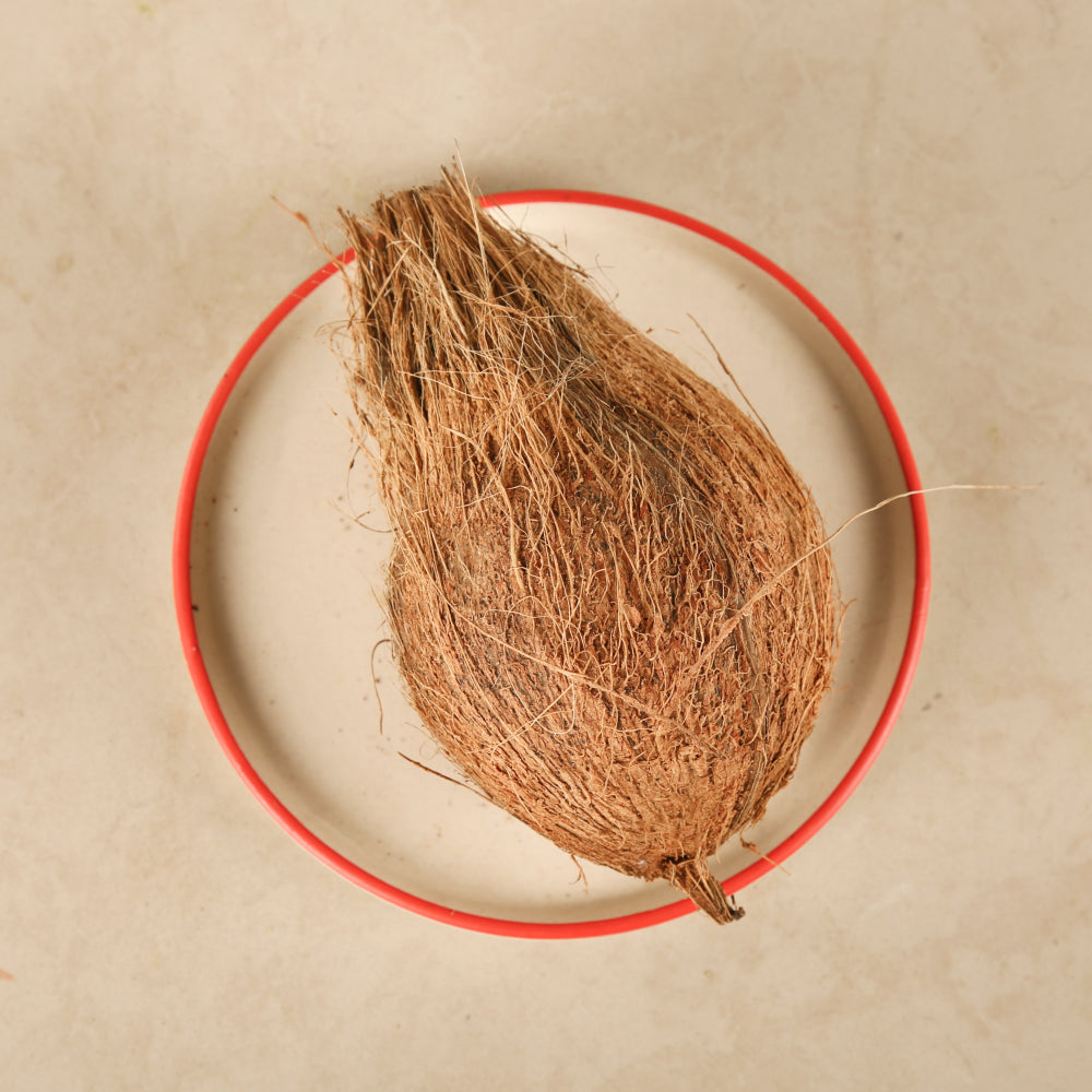Brown Coconut